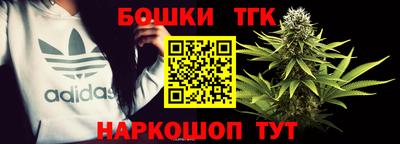 тгк Будённовск