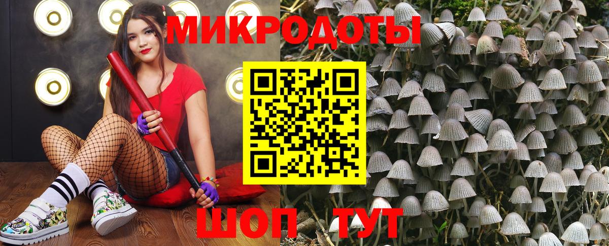 Псилоцибиновые грибы Psilocybine cubensis Новокуйбышевск