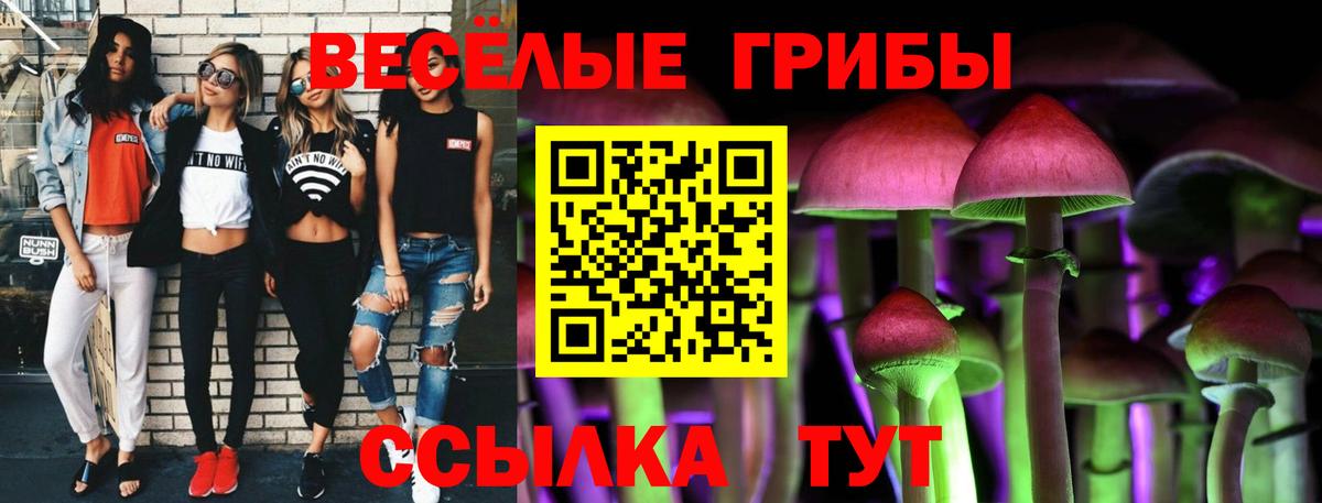 Псилоцибиновые грибы Magic Shrooms  Вход с VPN  Псилоцибиновые грибы MAGIC MUSHROOMS  Новокуйбышевск 